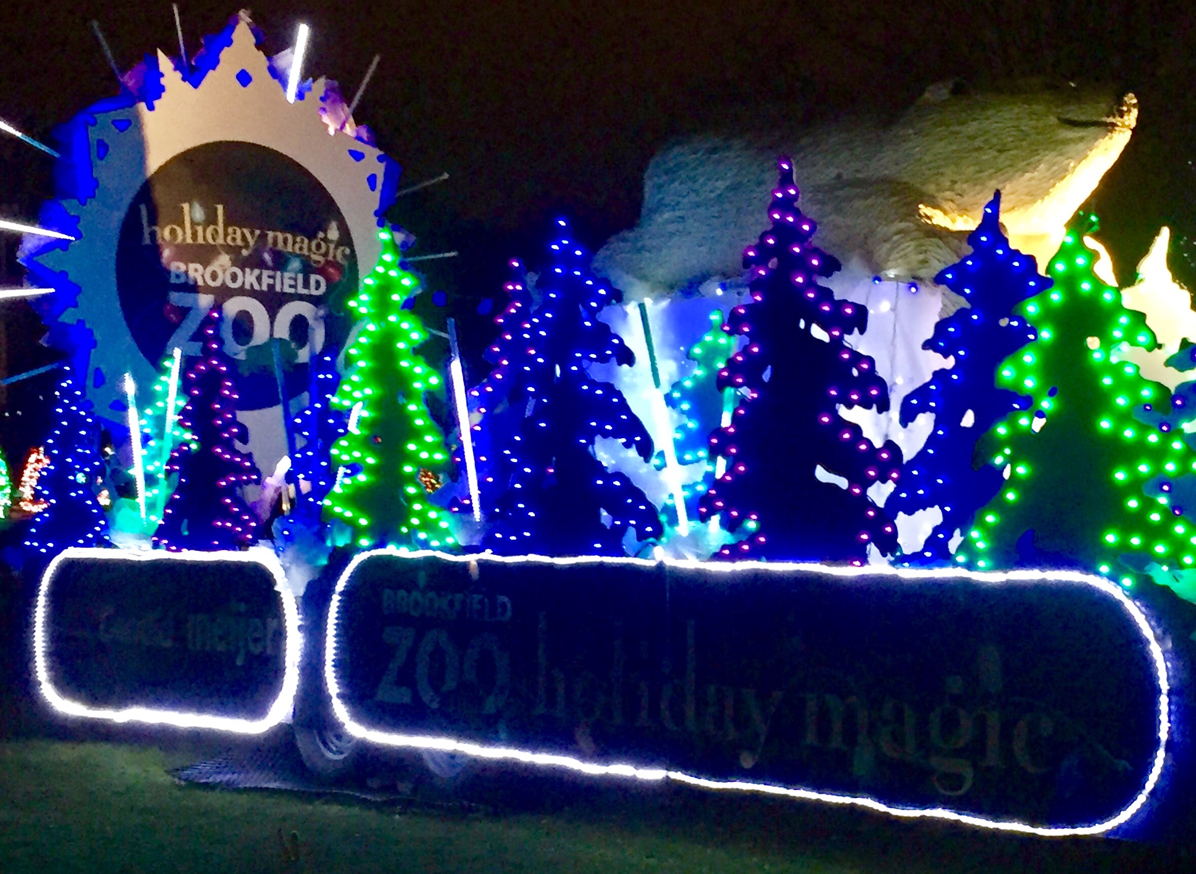 Brookfield Zoo's lights festival real holiday magic Chronicle Media