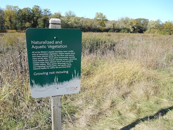 prairie COLOR