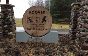 Hoover Forest Preserve in Yorkville is one of the sites where the Kendall Forest Preserve District is going to be concentrating its efforts in coming weeks on removal of ash trees that have fallen victim to the emerald ash borer.  credit: Photo by Judy Harvey 
