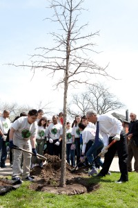 Mayor Rahm Emanuel celebrates Arbor Day by planting a tree. Photo by City of Chicago.