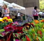 Chicago Farmers Markets prepare to open May 14