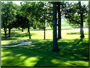 Whitetail Ridge Golf Course in Yorkville has been able to weather this summer of heavy rains and big storms fairly well so far, according to the course management.  (Credit: www.whitetailridgegolfclub.com).
