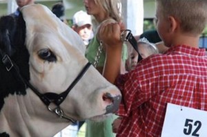 The annual  Woodford County 4-H Fair will showcase the accomplishments of its members July 27-30. The public is invited. Admission is free. (Credit: U of I Extension Services)