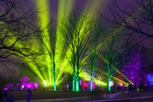 Tickets go on sale Oct. 1 for the annual Illumination: Tree Lights at The Morton Arboretum that will run from Nov.20 to Jan. 2, 2016. (Photo: Morton Arbortetum)