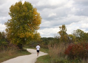 Greene Valley Forest Preserve in Naperville offers a view of fall colors. (Photo courtesy of DuPage County Forest Preserves)