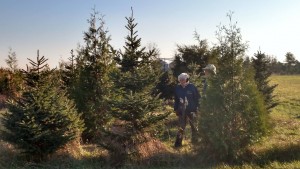 Bill and Alice Howenstine, co-owners of Pioneer Tree Farm in Rockton, take a walk through their grounds. Ten percent of tree sales is donated to the Environmental Defenders of McHenry County, and most of the workers are volunteers from the Defenders. (Photo courtesy Pioneer Tree Farm)