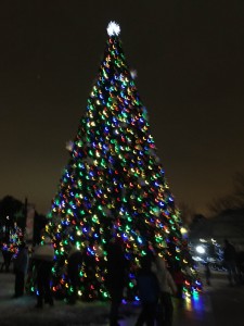 The main Christmas tree on the mall at the north entrance of Brookfiled Zoo. (Photo by Judy Harvey
