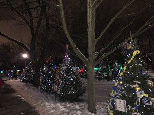 Brookfield Zoo adopt-a-trees 