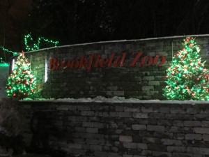 Brookfield Zoo lights up the holiday season with its month-long annual Holiday Magic. PhotoP