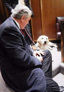 Mitch, the Lake County therapy dog, sits with Judge John Phillips in the VTAC veterans courtroom in Waukegan. (Courtesy John Phillips).