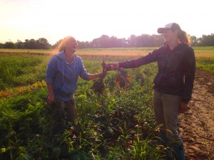  Annette McKeown (right) and Cassidy Dellorto-Blackwell are part of the work crew at the PrairiErth farm in Atlanta, Ill. (Photo courtesy PrairiErth farm)