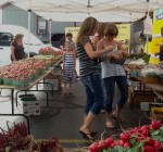 Kendall County Area News Briefs