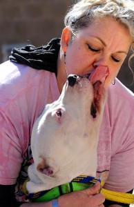 Humane Society of Aurora volunteer Stacey Studier gets a big smooch from Bronco, a Pit Bull mix, at the Aurora Animal Control facility on Thursday, March 17. (Photo by Steven Buyansky/for Chronicle Media) 