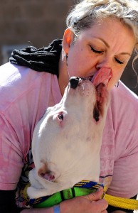 Humane Society of Aurora volunteer Stacey Studier gets a big smooch from Bronco, a Pit Bull mix, at the Aurora Animal Control facility on Thursday, March 17. (Photo by Steven Buyansky/for Chronicle Media)