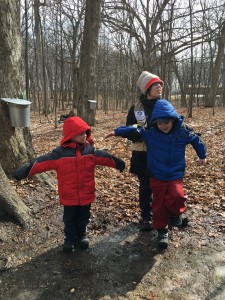 Visitors get to taste the free-flowing sap at a collection pail. (Photo by Adela Crandell Durkee/for Chronicle Media) 