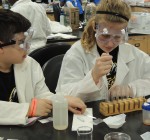 Science, students mix at regional tourney