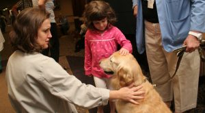 Edward Hospital’s Animal Assisted Therapy Volunteer Services is more than  just petting dogs. It is also about reach-ing out to the patient and the reactions range from tears to big smiles.  (Edward Hospital photo) 