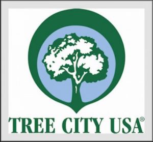 DeKalb has been named a 2015 Tree City USA by the Arbor Day Foundation. (Image courtesy Arbor Day Foundation)