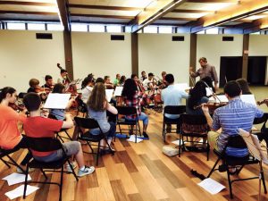 The Central Illinois Youth Symphony is based in Peoria but draws young musicians from all over the region, including Bloomington, Morton, Pontiac and Springfield. (Photo courtesy of Central Illinois Youth Symphony)