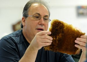 Patrick Jarmusz of Pingree Grove checks out a honeycomb during an University of Illinois Extension Service program on beekeeping in St. Charles on Wednesday, April 20. ( Photo by Steven Buyansky/for Chronicle Media) 