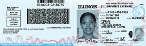 When Illinois residents renew their driver’s licenses, they will be given a temporary secure paper driver’s license for driving and identification purposes until they receive their real ID card. 