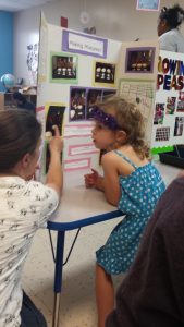 Kendall 052516 science fair photo 2