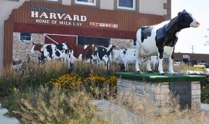 The town mascot, Harmilda, and symbol of Harvard Milk Days, stands at the Five Points corner of converging intersections in town. The name was derived from the upper and lower case uses of HARvard MILk DAys. The annual festival celebrates its 75th anniversary this year.