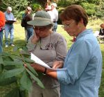 Master Naturalists offer extensive knowledge of the outdoor world