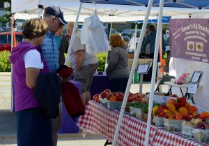 Vendors and patrons talk at various boots during Sycamore's farmer's market . (Photo by Jessi LaRue / for Chronicle Media)