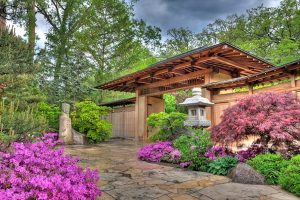 Enjoy chamber-style music at the Anderson Japanese Gardens in Rockford on Sunday, June 26, with “Strings on Sunday” featuring the music of the Turtle Creek Chamber Orchestra. Tickets are $50 each and include admission and round-trip transportation, which departs at 1 p.m. from the Hemmens Cultural Center in Elgin. On Tuesday, July 26, Ravinia presents an exciting premiere staging of Stravinsky’s The Firebird with the Chicago Symphony Orchestra under the baton of Ben Gernon. A bus will depart from the Hemmens Cultural Center at 3 pm. Tickets for transportation and Pavilion seating are $80 per person and do not include dinner. Seating is limited to 30. To make reservations for either event, call the ESO Box office at (847) 888-4000. 