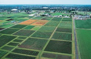 The latest research in crop science will be on display during the 59th annual Agronomy Day at the University of Illinois on Aug. 18. The popular, day-long event will be moved to a new location this year — the U of I Crop Sciences Research and Education Center located on South First Street in Savoy