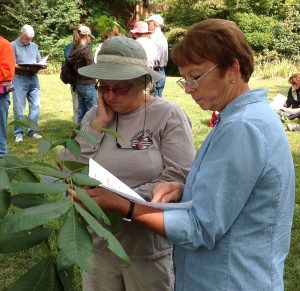 Volunteers with the University of Illinois Extension Fulton-Mason-Peoria-Tazewell Unit Master Naturalists program have been participating in workdays at sites in Tazewell and Peoria counties. (Chronicle Media file photo)