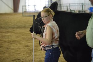 Members of the 4-H will be showing their livestock and wares at the annual Tazewell County 4-H Show and Junior Fair. From Aug. 1-3 at Mineral Springs Park in Pekin. (Photo Tazewell County 4-H)