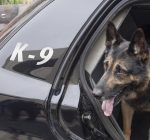 Kendall Co. adds another dog to K-9 team