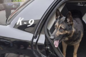 The Kendall County Sheriff’s Department soon will be growing its K-9 unit thanks to a private grant. 