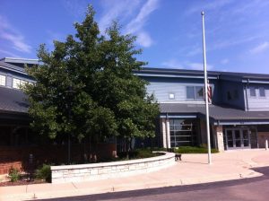 The Yorkville Library will hold a book sale as part of the annual Yorkville Hometown Days Sept. 3-4.  