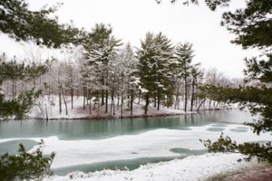 A view of Turtle Pond in The Gardens at SIUE in winter.  The city of Edwardsville will be taking over the operations and maintenance of the gardens. (Photo courtesy of  Southern Illinois University Edwardsville)