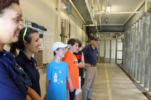 A group of kids and volunteers from a Peoria Zoo camp enjoy a look at the rhino barn during a Behind the Scenes tour. The zoo offers the tour monthly from May through October, with the next tour taking place at 9 a.m. Saturday, Aug. 20. (Photo courtesy Peoria Zoo).