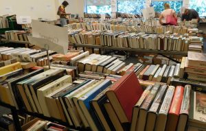 For book lovers, there was the library book sale during North Aurora Days.