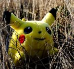 ‘Pidgey’s Law’ raises questions of feasibility in regulating Pokémon Go