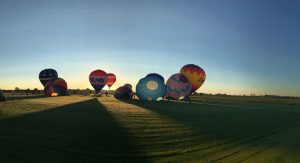 Over the course of the Fest , 10 balloons launched at sunrise and sunset. The three night launches included Night Glow shows, where the balloon pilots alternately burst and quenched their flames to put on a spectacular show. (Photo by Adela Crandell Durkee/for Chronicle Media) 
