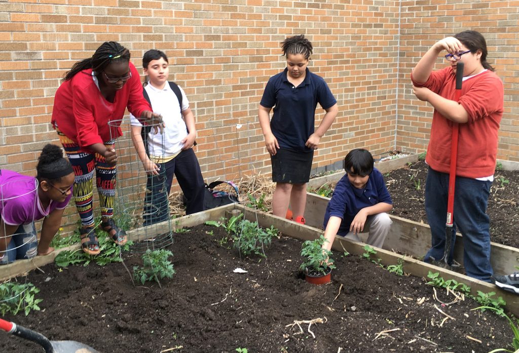 Extension’s school gardens help teach kids the basics of gardening ...