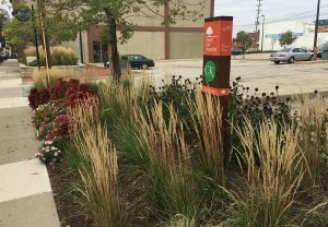 Downtown Rockford beautification efforts have already improved downtown civic spaces by restoring public landscapes, installing and planting 75 planters and installing 9 public art sculptures for local residents and visitors to enjoy.