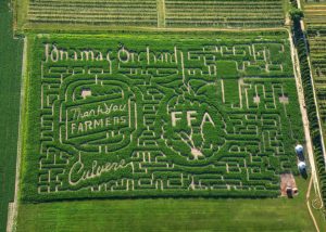  The public is invited to enjoy Jonamac Orchard’s annual Haunting of the Corn Maze, on Fridays and Saturdays through Oct. 29. 