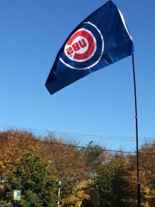 Cub flags were flying high throughout the city as the Chicago Cubs celebrated their World Series Championship with their fans on Friday, Nov. 4. (Photo by Judy Harvey / Chronicle Media)