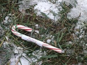 Children can hunt for candy canes in Lions Park, 81 E. Main Street, Lake Zurich, with prizes being awarded to the kids who find special candy canes in their respective age brackets at 1 p.m. Dec. 3. 