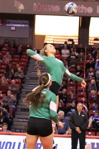 Hailey Flowers prepares to spike the ball, during the championship match against St. Joseph-Ogden. (Photo by Kalli McDonald/for Chronicle Media) 