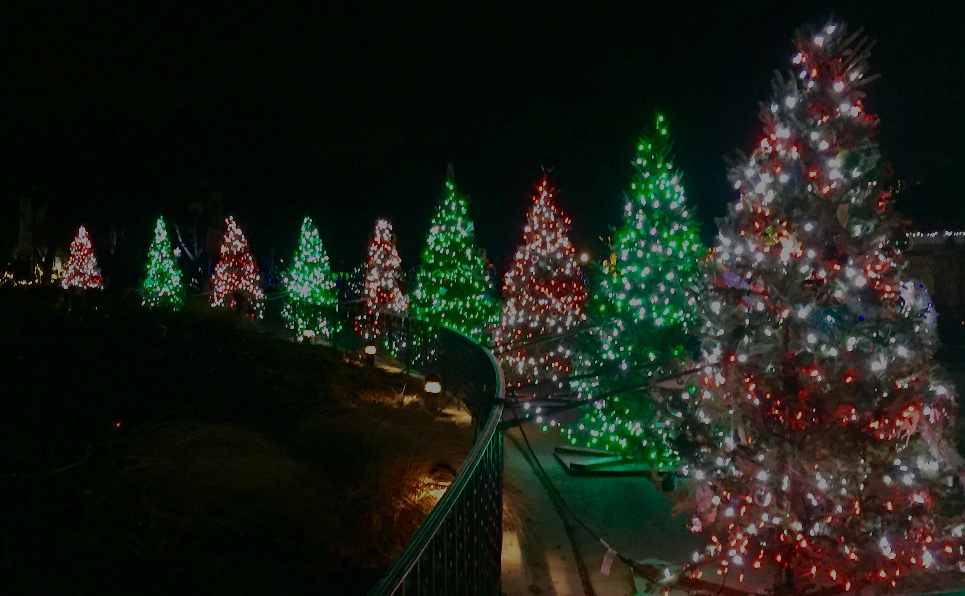 Brookfield Zoo’s lights festival real holiday magic Chronicle Media