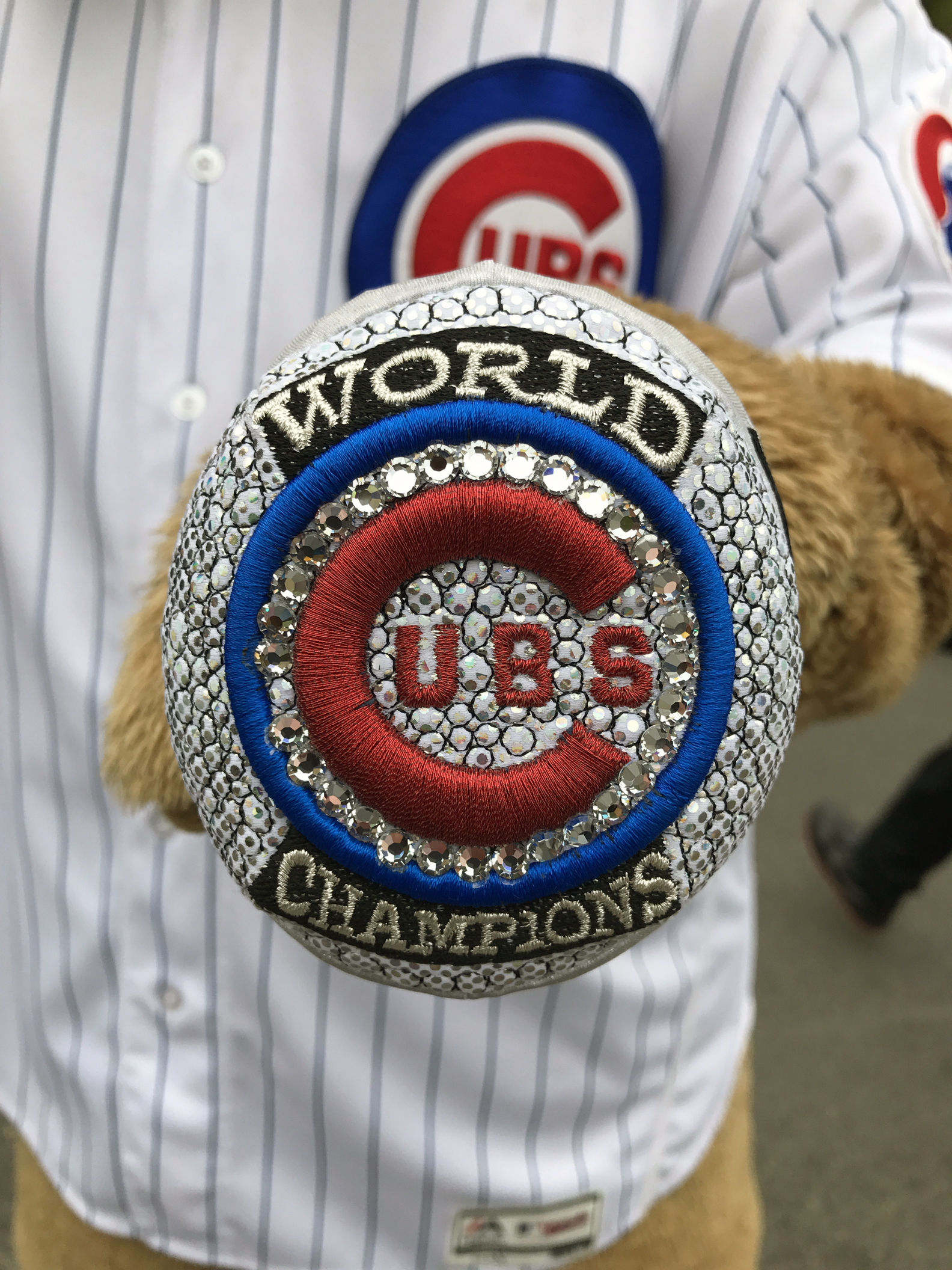 Cubs Charities on X: Gear up for the 18th Annual Race to Wrigley