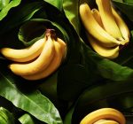 GOOD HOUSEKEEPING:  Bananas pack a triple play of healthy eating